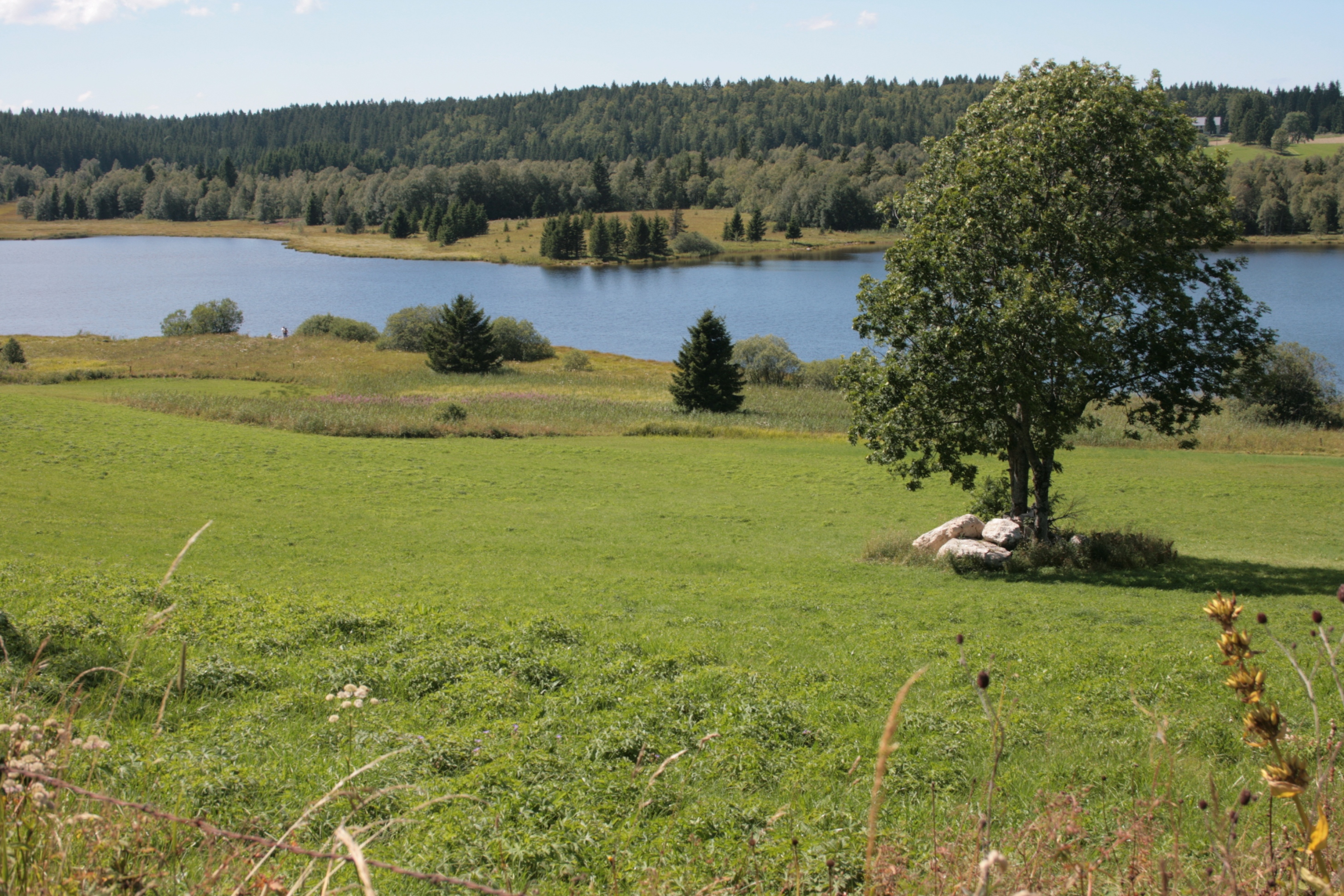 Lac de Bellefontaine (cl. REVERCHON)