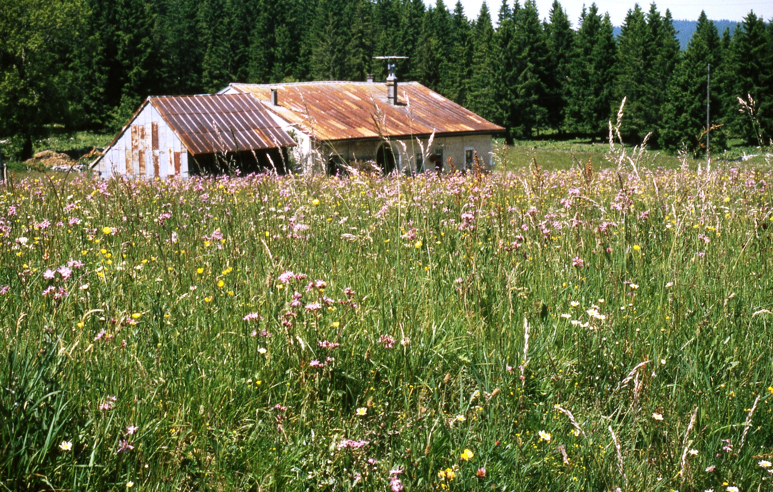 Chapelle des Bois (Doubs)