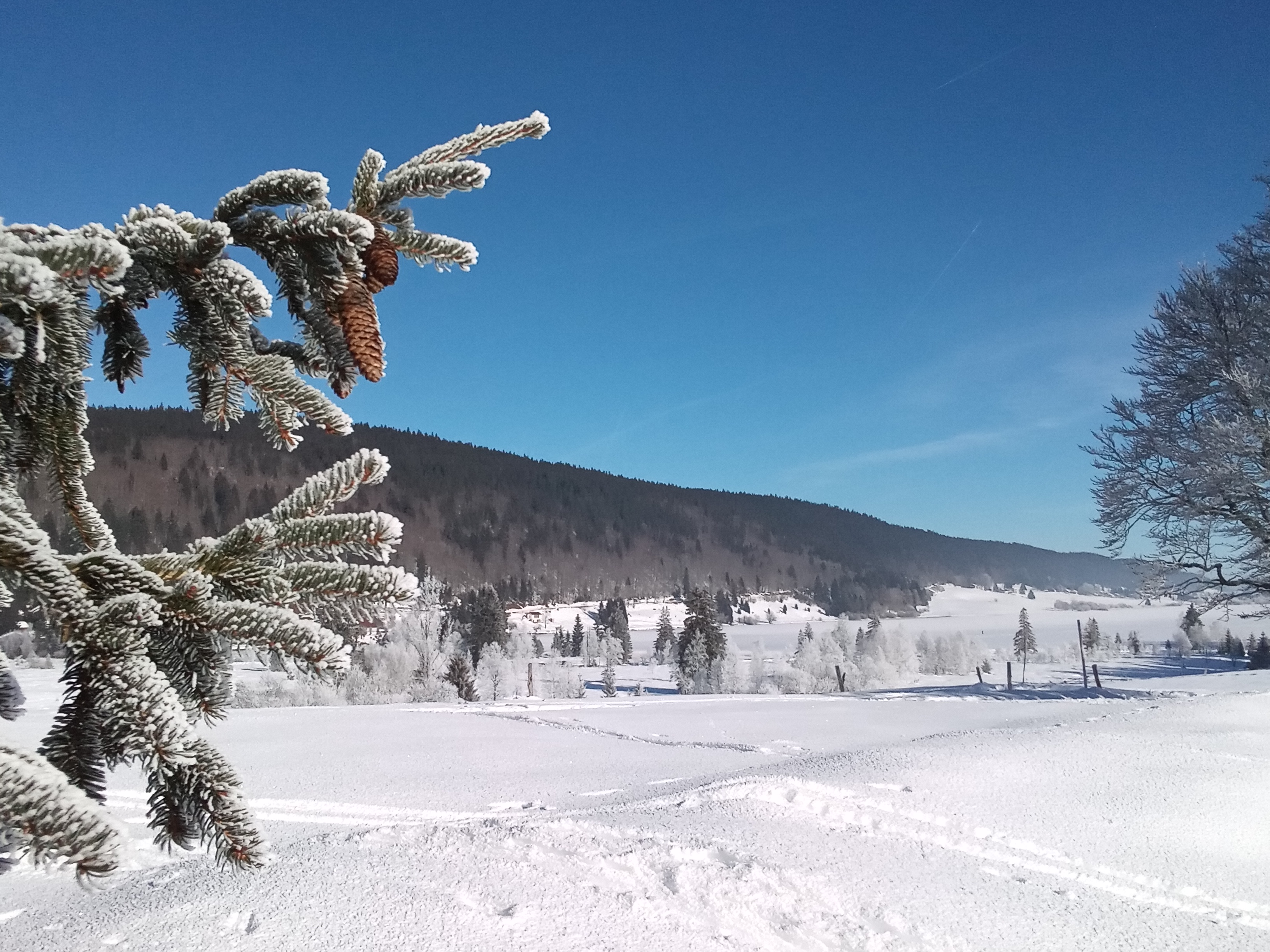 Les Rousses (Jura) en hiver (cl. Chauvin)