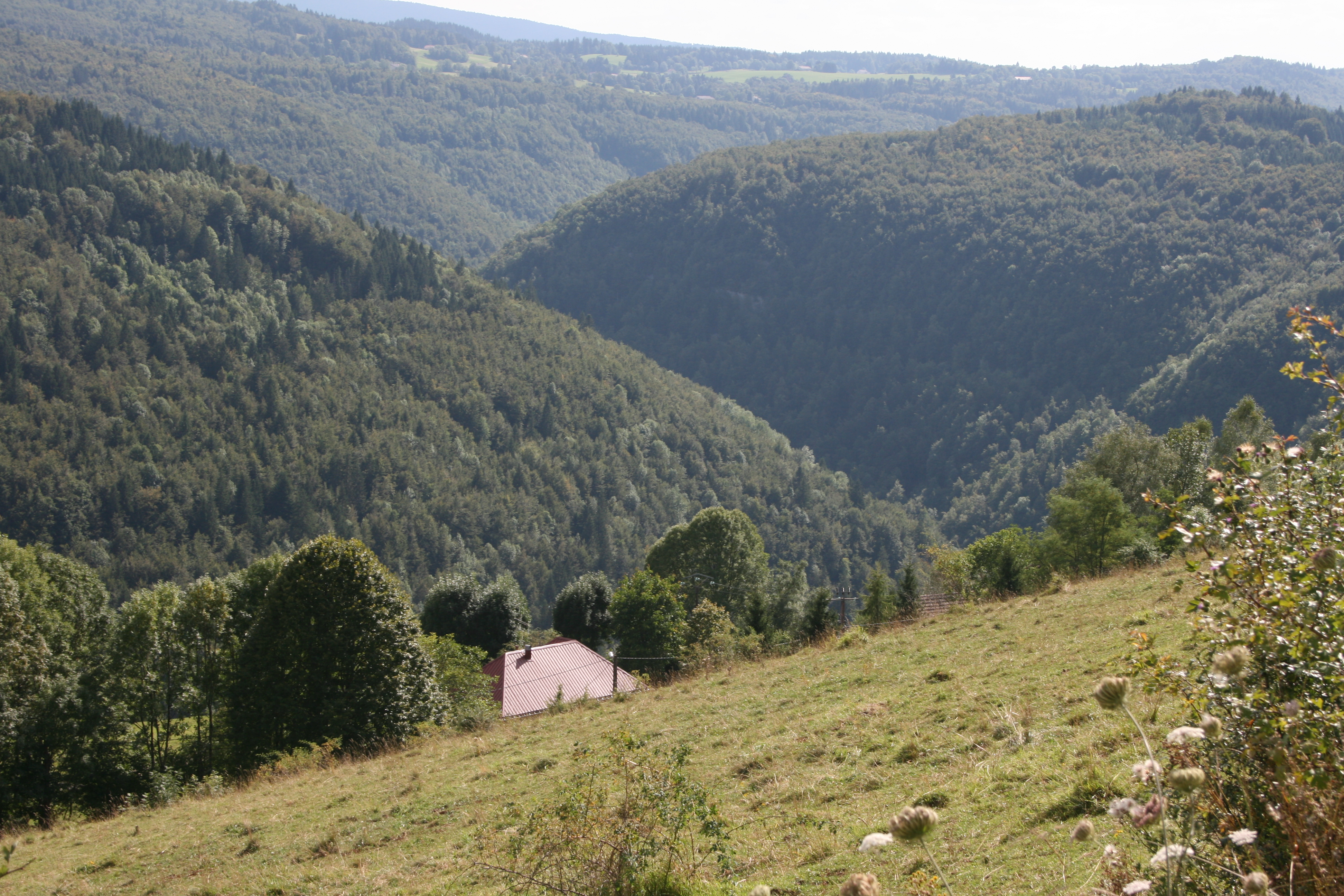 Gorges de la Bienne, vue de Tancua