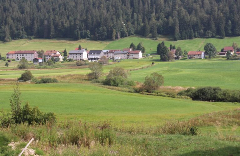Cote 2H769 aux ADJ, Copie d’enquête pour Mrs du chapitre de Saint Claude contre les habitants des Landes