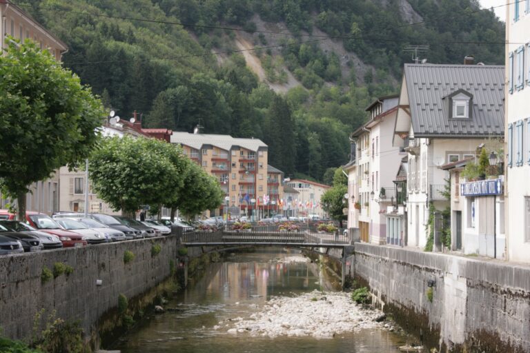 Cote 2H784 aux ADJ, Morez, mainmorte 1718-1781 – résumés