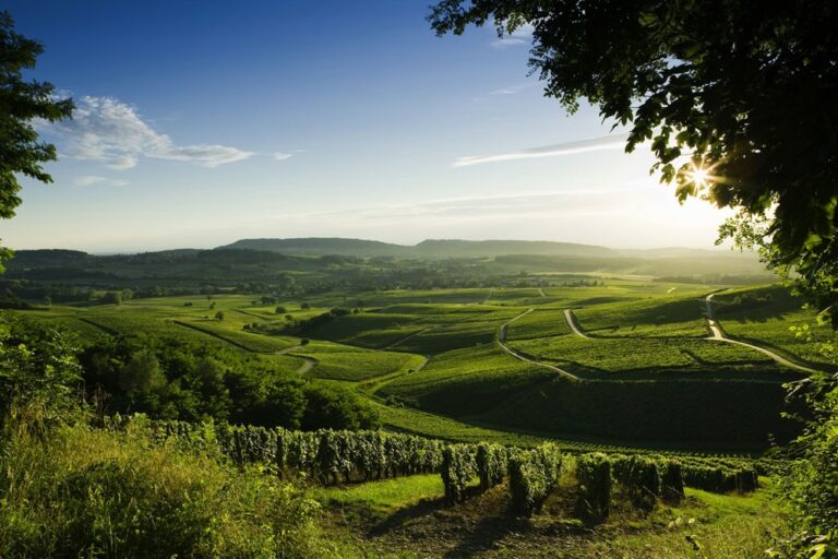 Généalogies et Histoires du Haut-Jura