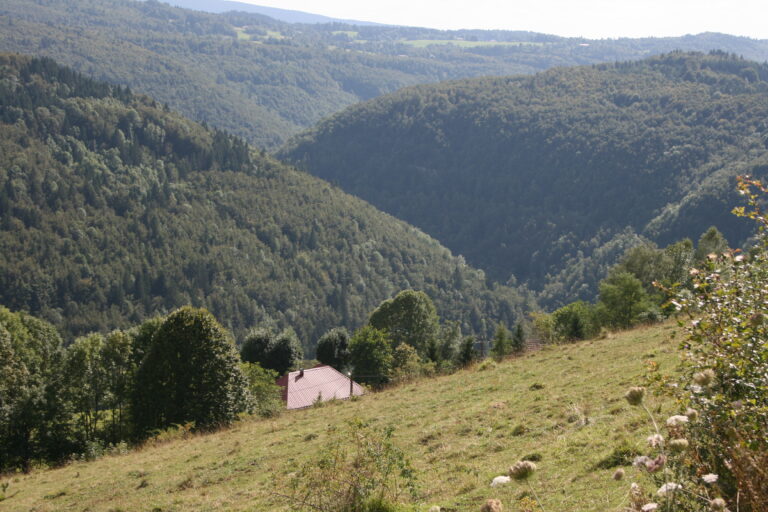 Tancua